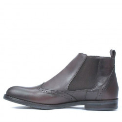 Bottes hommes 485 marron