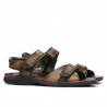 Sandales homme 316 marron