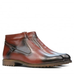 Bottes homme 4102 a marron