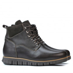 Bottes homme 4108 café