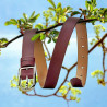 Ceinture femme 07m biz bordeaux