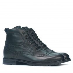 Bottes homme 4113 noir