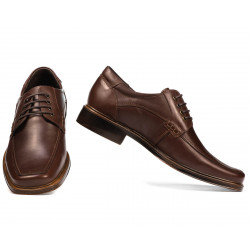 Chaussures élégantes homme 790 marron