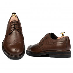 Chaussures élégantes hommes 939 marron