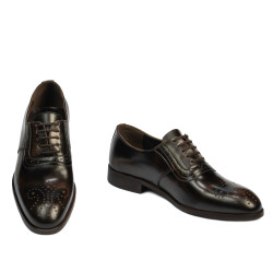 Chaussures élégantes homme 959 a café florantic