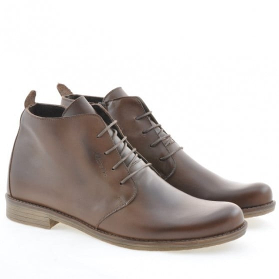 Bottes hommes 412 marron