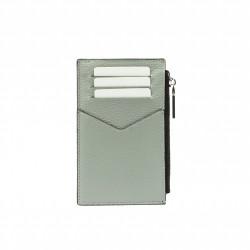 Porte-cartes 209g 01 biz gris