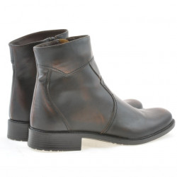 Bottes homme 401 a marron